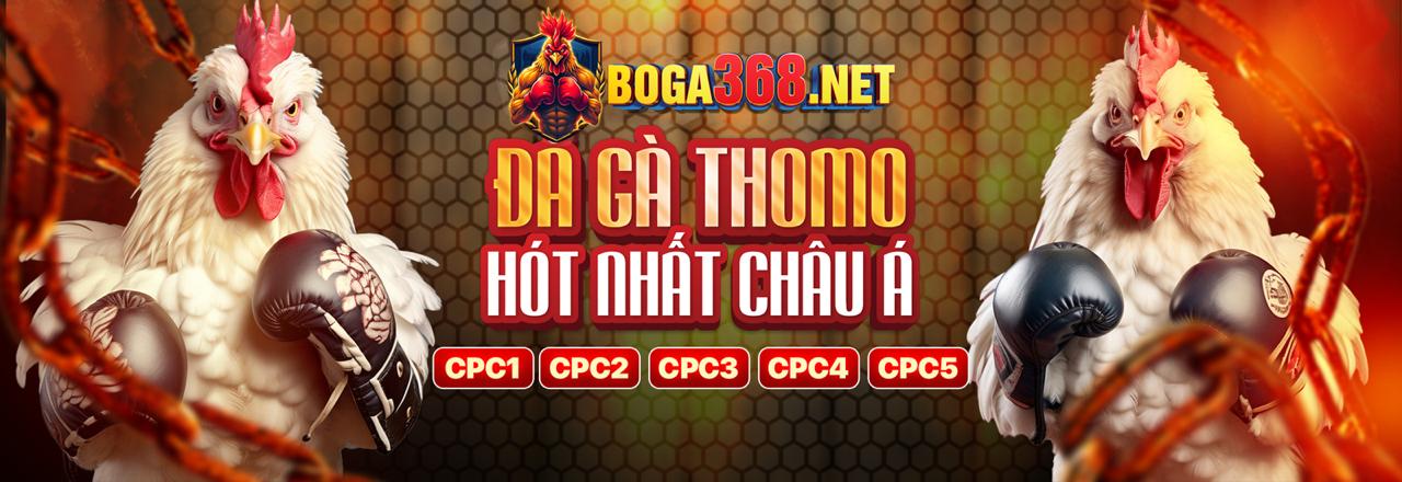 Đá gà cựa dao đầy mạo hiểm tại Good 88