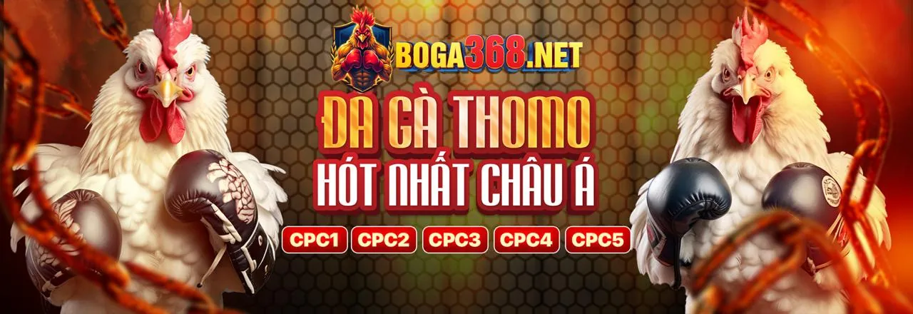Đá gà cựa dao đầy mạo hiểm tại Good 88