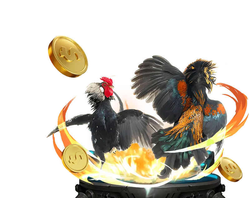 Hình ảnh đá gà trực tuyến tại GO88