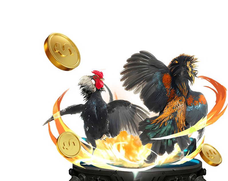 Đá gà Thomo Campuchia tại Good 88