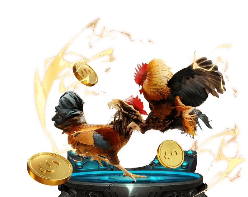 Hình ảnh đá gà trực tuyến kịch tính tại Good 88