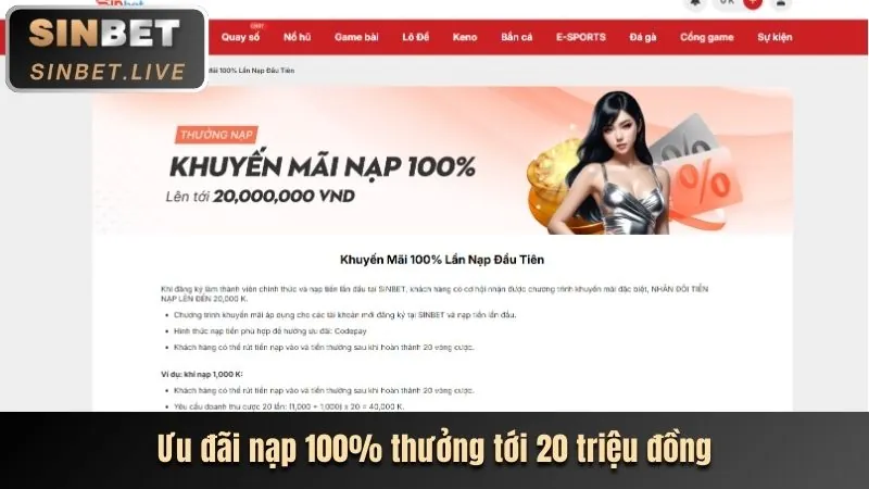 Tổng quan nền tảng cá cược Sinbet good 88